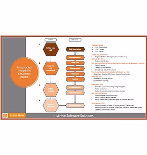 riskHive_ERM_process_map